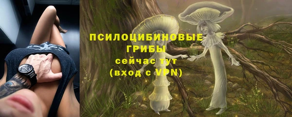 ешки Наволоки